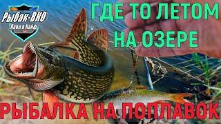 ЛОВЛЯ ОКУНЯ и ЩУКА на ПОПЛАВОК ЛЕТОМ 2024.РЫБАЛКА на ЖИВЦА  ПОПЛАВОК УДОЧКОЙ.FISHING for LIVE BAIT.