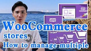 How to manage multiple WooCommerce stores