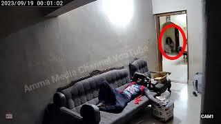 CCTV recorded video of real ghost guarding a person sleeping outside. Only #youtube