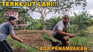 TERKEJUT LARI..!! ADA PENAMPAKAN - MUKBANG