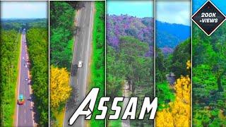 Mood️ Assamese Status ||  Assamese Status || Beautiful Assam ️@dipencreation4314