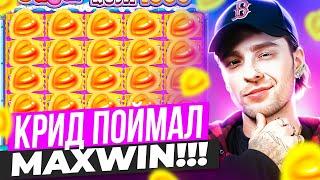 ЕГОР КРИД ПОЙМАЛ МАКСВИН В ШУГАР РАШ 1000! MAXWIN В SUGAR RUSH 1000!