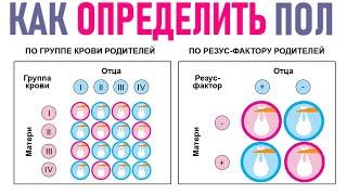 КАК ОПРЕДЕЛИТЬ ПОЛ РЕБЕНКА ДО УЗИ | 10 необычных примет пола будущего малыша