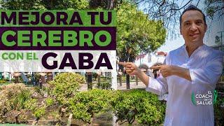 El GABA (neurotransmisor) y su relación con el cerebro