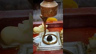 चांदी का शिवलिंग | शिव मंदिर चिड़ावा | शिवालय #shivling #chirawa #Shorts #devotional #bholenath