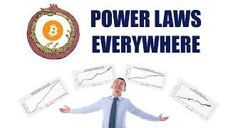 The Bitcoin Power Law Theory