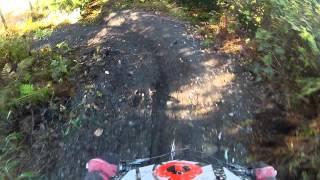 Alyeska Mountain Biking, Big Spruce