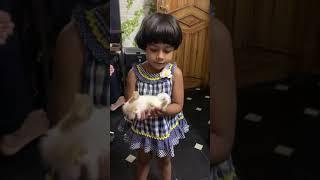 Nithya playing with rabbit...