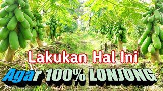 Lakukan Hal ini, Agar 100% Lonjong