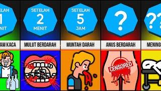 Timeline: Bagaimana Jika Anda Memakan Botol Kaca?