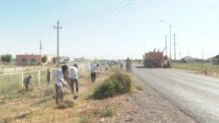Больше 18 территорий очистили от мусора в Туркестане