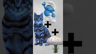 Smurf cat | We live We love We lie #shorts #smurfcat #meme