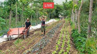 AGRICOLTURA RIGENERATIVA e AGROFORESTAZIONE. Con Matteo Mazzola 