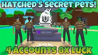 Using 4 Accounts To Hatch 10K Egg! Hatched 5 Secret Pets! - Bubble Gum Mayhem (Roblox)