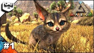 ARK Survival Evolved in romana | Scorched Earth episodul 1 | Jerboa