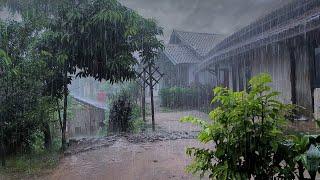 Heart and Mind Feel Calm When Heavy Rain & Lightning in My Village | Lullaby Rain - Indorain