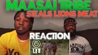 Maasai Tribe Steal Meat from Lions Reaction