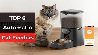 Top 6 Best Automatic Cat Feeders 2025