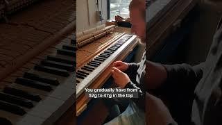 Piano Action Key Weight #shorts