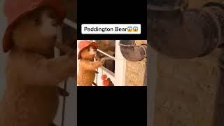 Paddington Bear #shorts