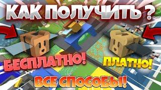 ВСЕ СПОСОБЫ ПОЛУЧЕНИЯ BEAR BEE ИЗ ДОНАТА В BEE SWARM SIMULATOR! КАК ПОЛУЧИТЬ БЕСПЛАТНО КОД В БСС!