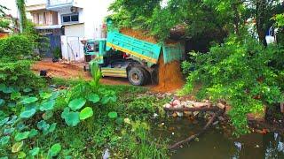 Perfectly Lanfill in Flooded areas!! Bulldozer D20A & Truck 5T Pushing Soil Into water