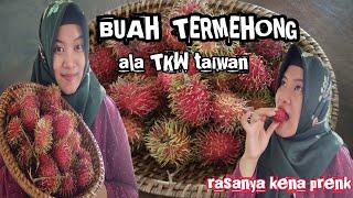 BUAH TERMAHAL ALA TKW TAIWAN//RASANYA BIKIN TDK MAU BELI LG