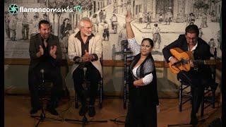 FLAMENCOMANIA TV - 7T 08 - EL BERENJENO, FELIPA DEL MORENO Y JOSE MIJITA - 28 OCTUBRE 2024