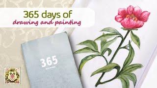 What happened when I drew every day for a year? Join me for a sketchbook flick through of 365 pages!