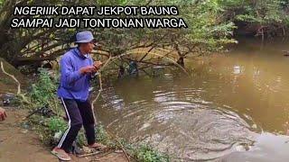 GANAS SEKALI...!! MANCING IKAN BAUNG SAAT SUNGAI MULAI SURUT_BERMUNCULAN BAUNG MONSTER