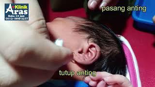 pasang anting bayi. pilih emas, ringan dan polos .