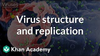 Virus structure and replication | Viruses | High school biology | Khan Academy