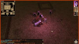 Neverwinter Nights | 14 | ATTACK ON GULNAN