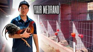 Yaihr Medrano - Vitaminas & Activadores