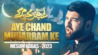 Aye Chand Muharram Ke Tu Badli | Mesum Abbas | Nohay 2023 / Muharram 1445