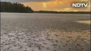 Viral Video Of Rain Rolling In Leaves Internet Amazed