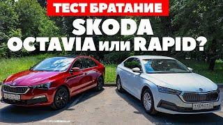 Skoda Octavia против Skoda Rapid. Братания не получилось. ТЕСТ ДРАЙВ ОБЗОР 2022