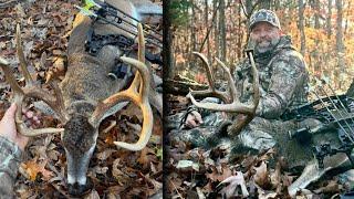 My BIGGEST Buck Ever! Bowhunting MISSOURI Hunting Public Land