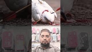 Beautiful Tilawat ️ Recitation Quran  #quran #shorts #viralvideo #recitation #ytshorts