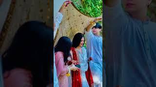 Fatima Bhutto Meer Murtaza Butto's Marriage with Guhram Jibran #fatimabhutto