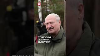 Лукашенко шокировал белоруску! (Архив) #лукашенко #новости #политика #беларусь #shorts