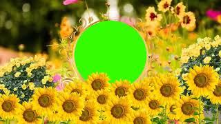 green screen garden | flowers  garden green screeen freee.back grund veios.