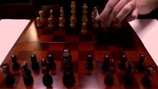 How To Play Chess - A Relaxing ASMR Tutorial & Beginner's Guide