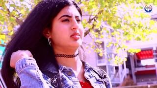 Pal Pal timro Yaad Aauchha//Ashish Pokhrel NEW NEPALI SONG 2019