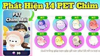 Phát Hiện 14 PET Chim Cưỡi Được | Play Together