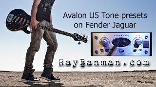 Fender Jaguar Bass through Avalon U5