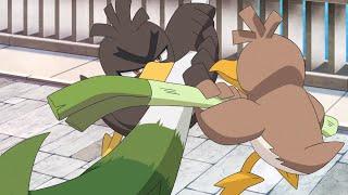 Farfetch'd Battle