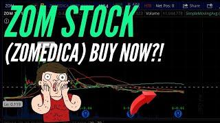 HUGE ZOM (Zomedica) Stock UPDATE & Truforma Product - Is it time to BUY?!