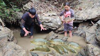 Homeless boy and girl discover a school of giant fish in a puddle - Homeless Boy VN