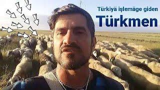 Türkiyä işlemäge giden Türkmen maslahaty (Taze Turkmen Prikol 2019)